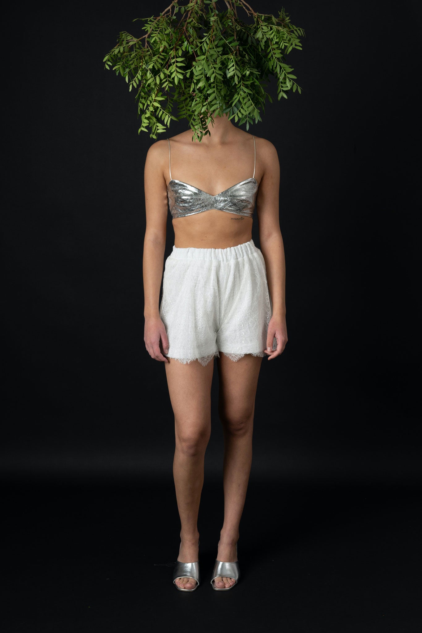 BRASIER 2011 Menu of Menu